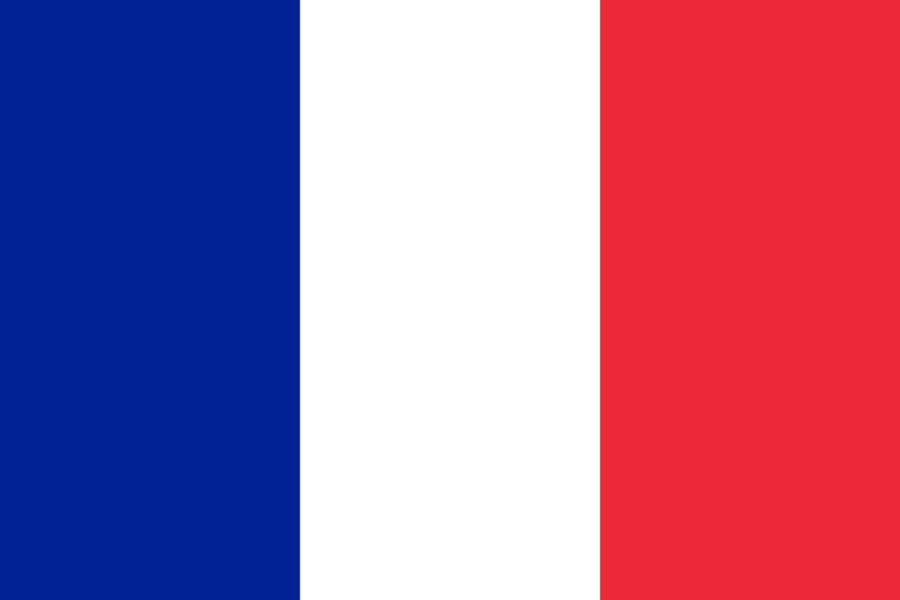 2x3 Ft Polyester France Flag French Country National Flag F FRANCE 
