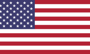 United States of America USA Flag