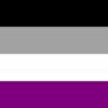 Asexual Flag 150x240cm