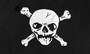 Big Skull Pirate Flag