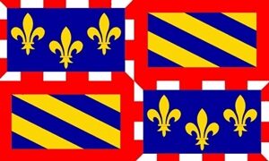 Burgundy Flag 90x150cm
