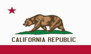 California Flag 60x90cm