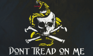 Dont Tread On Me Pirate Gadsden Flag