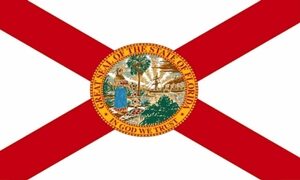 Florida Flag 60x90cm