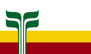Franco Manitobans Flag
