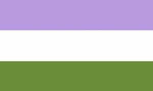 Genderqueer Flag 60x90cm