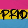 Hashtag Pride Pansexual Flag 90x150cm