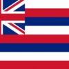 Hawaii Flag 60x90cm