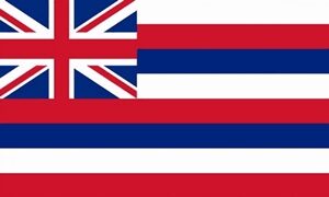 Hawaii Flag 60x90cm
