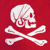 Henry Avery Red Pirate Flag