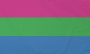 Polysexual Pride Flag 90x150cm