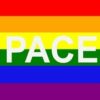 Rainbow Pace Flag 60x90cm