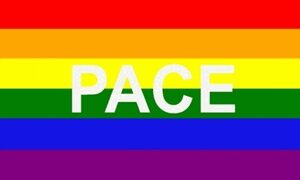 Rainbow Pace Flag 60x90cm
