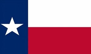 Texas Flag 60x90cm