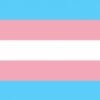 Transgender Flag 150x240cm