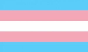 Transgender Flag 150x240cm