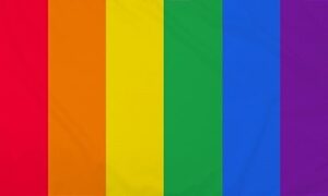 Vertical Rainbow Flag 90x150cm
