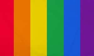 Vertical Rainbow Flag 90x150cm