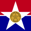 Dallas Flag