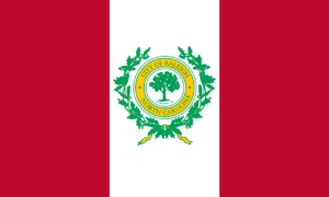 Raleigh North Carolina Flag